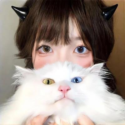 战云鸳梦